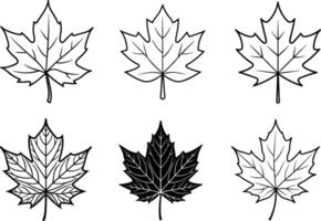 Autumn leaf a maple leaf in autumn line art illustration vector