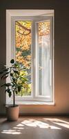A window with a plant in a white pot and a tree outside photo