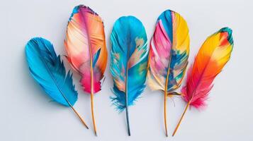 Five colorful feathers are arranged in a row photo