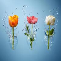 Three flowers are in a vase with water photo