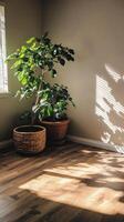 Sunlit Corner with Potted Green Plants and Wooden Floor in a Cozy Minimalist Interior Space photo