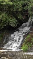 Chervonohorod Dzhuryn waterfall in summer in Ukraine. Travel nature Carpathian Mountains in cloudy cool weather, vertical video
