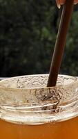 bee honey in jar with an ecological wooden stick spoon on the traditional Jewish holiday of Rosh Hashana on by window on sunny day. Close-up, vertical video