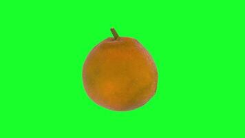 Realistic 3D rendering of an orange on a bright green background video