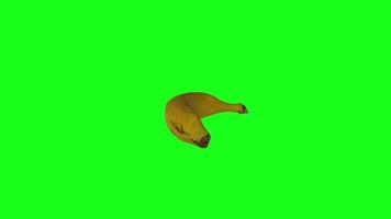3D rendering of a banana with vibrant green background video