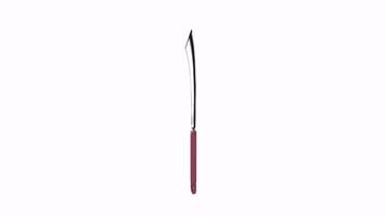 3D rendering of a traditional curved knife with a red handle video