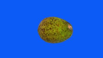 3D rendering of a textured green fruit rotating against a blue background video