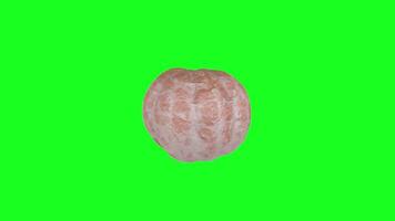 3D rendering of a textured pumpkin on a bright green background video