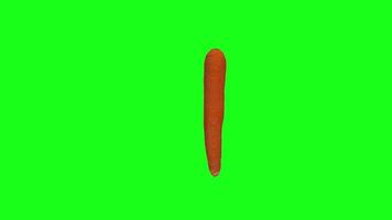 3D rendering of a carrot with vibrant green background video