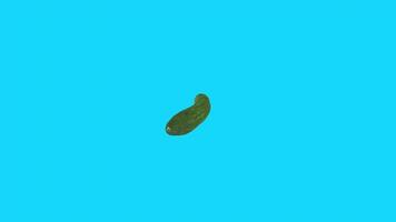 3D rendering of a cucumber on a vibrant blue background video