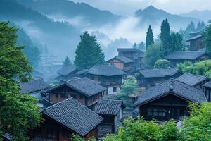 A forest of trees photo