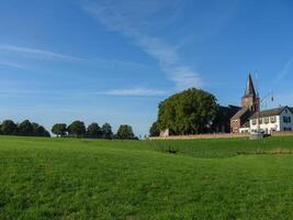 A large field with grass at the rhine photo