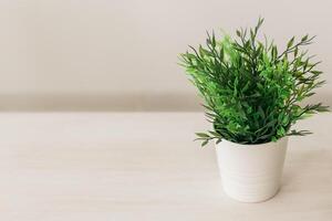 Artificial plant on empty white wall background place for your text - interior decor concept photo
