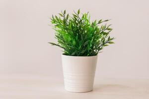 Artificial plant on empty white wall background place for your text - interior decor concept photo