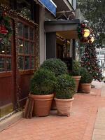 Decorated Christmas tree stands outdoors in front of a building. Christmas tree is adorned with vibrant red, blue, and golden ornaments, complemented by warm glowing lights creating a festive and photo