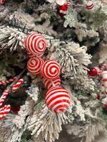 Close-up of a snow-dusted Christmas tree decorated with striped red and white ornaments. Baubles and candy canes and ribbons highlight the festive holiday atmosphere photo