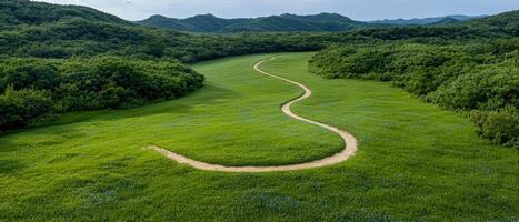 Serpentine path through a lush green meadow, aerial view photo