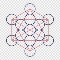 Metatron Cube Sacred Geometry Symbol vector