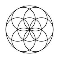 Seed of Life with Protective vector