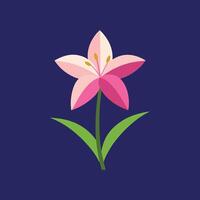 Premium Zephyranthes Flower Canvas Graphics vector
