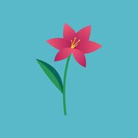 Elegant Zephyranthes Flower Vectors for Canvas and Prints