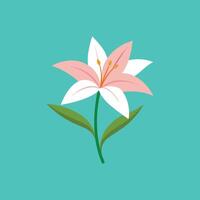 Zephyranthes Flower Art for Creative Projects vector