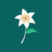 High-Quality Zephyranthes Flower Canvas Graphics vector