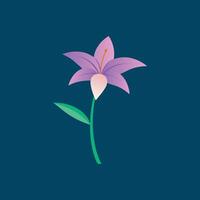 Unique Zephyranthes Flower Canvas Designs vector