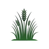 A wheat field with grass and leaves vector