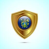 Rounded flag of Pitcairn Islands with glossy gold shield vector