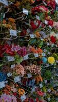 Colorful Artificial Flowers Display in Store photo