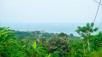 Scenic Coastal View with Ships and Lush Greenery photo