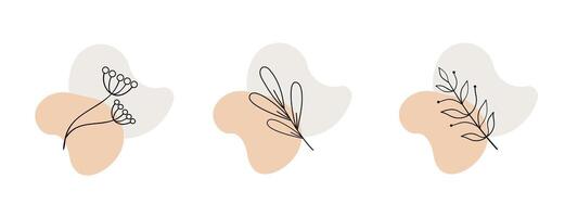 Minimalist botanical line art with abstract shapes vector