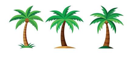 palm tree set and coconuts isolated on white background vector