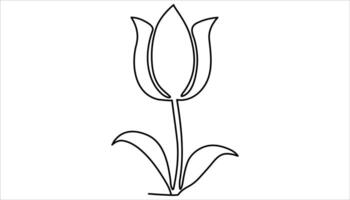 Tulip flower continuous one line drawing illustration. vector