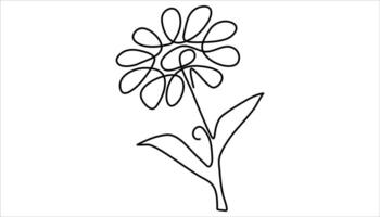 Daisy Continuous one line drawing illustration vector