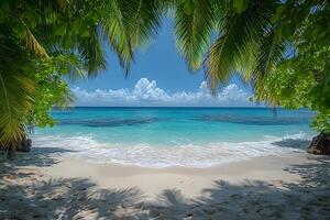 Tranquil Tropical Beach Paradise with Crystal Clear Water and Lush Palm Trees photo