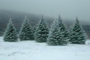 Serene Winter Landscape with Snow-Covered Pine Trees in a Misty Forest photo