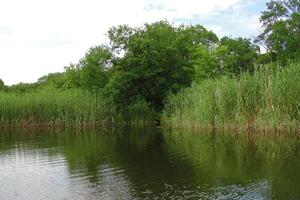 Serene lake view with lush green vegetation. Perfect for a relaxing backdrop. photo