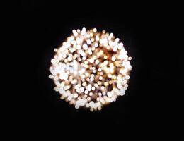 Abstract bokeh image of warm-toned lights creating a luminous circle against a black background. Perfect for holiday designs, celebratory themes, or adding a touch of magic to your projects. photo