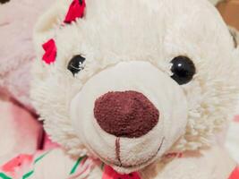 Closeup of an adorable fluffy white teddy bear with a red bow, showcasing its soft texture and sweet expression. Perfect for childrens products, websites, blogs, and greeting cards. photo