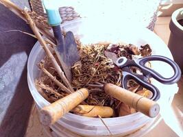 Closeup of gardening tools and dried plant matter in a plastic bucket. Rustic, sunlit scene ideal for blogs, websites, or articles about gardening, composting, or spring cleaning. photo