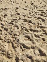 Fine golden sand covering a beach sunny day with clear skies, creating a serene and tranquil atmosphere for relaxation photo