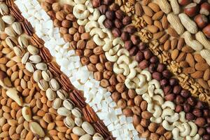 Nuts and seeds are arranged in a pattern photo