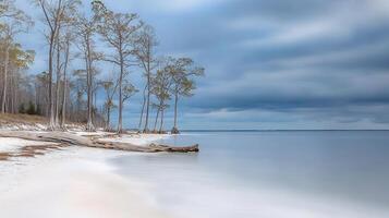 Serene Coastal Scene White Sand Beach Bare Trees Calm Ocean Cloudy Sky photo
