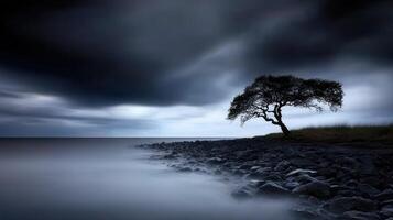 Solitary Tree on Rocky Coastline Under Dramatic Stormy Sky Long Exposure Photography photo