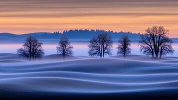 Serene Winter Landscape Foggy Fields Silhouetted Trees at Sunrise photo