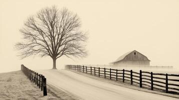 Serene Foggy Countryside Rustic Barn Leafless Tree and Fence on a Misty Morning photo