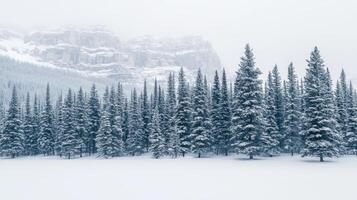 Snow Covered Coniferous Forest Majestic Mountain Winter Landscape photo