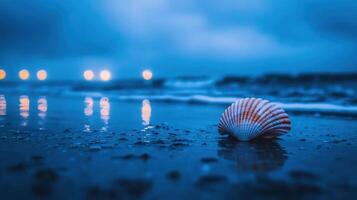 Seashell on Beach at Twilight Ocean Waves Night Lights Reflecting on Water photo